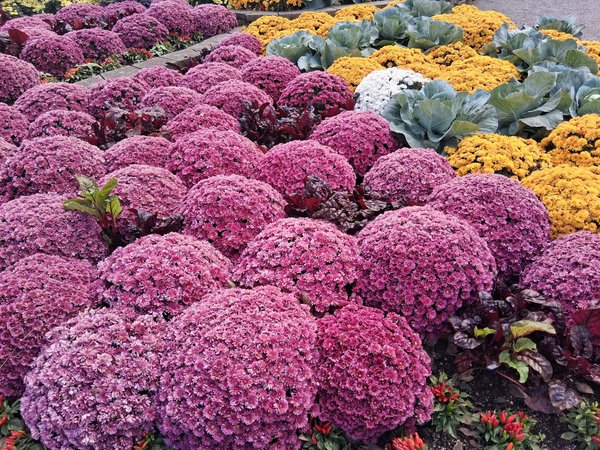 10 idées tendance pour métamorphoser votre salon avec des tableaux